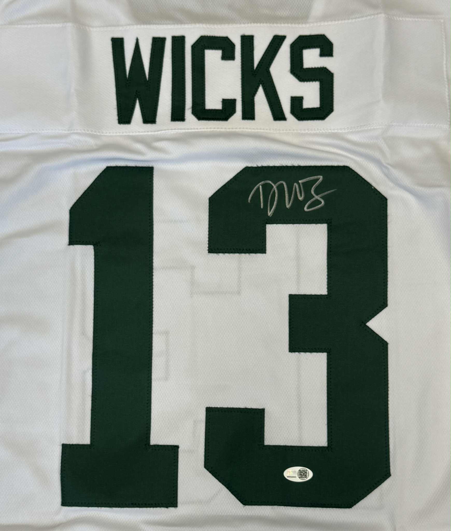 Dontayvion Wicks Signed Custom Jersey Green Bay Packers White Size XL JSA